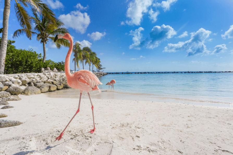 ARUBA - VACACIONES DE SETIEMBRE