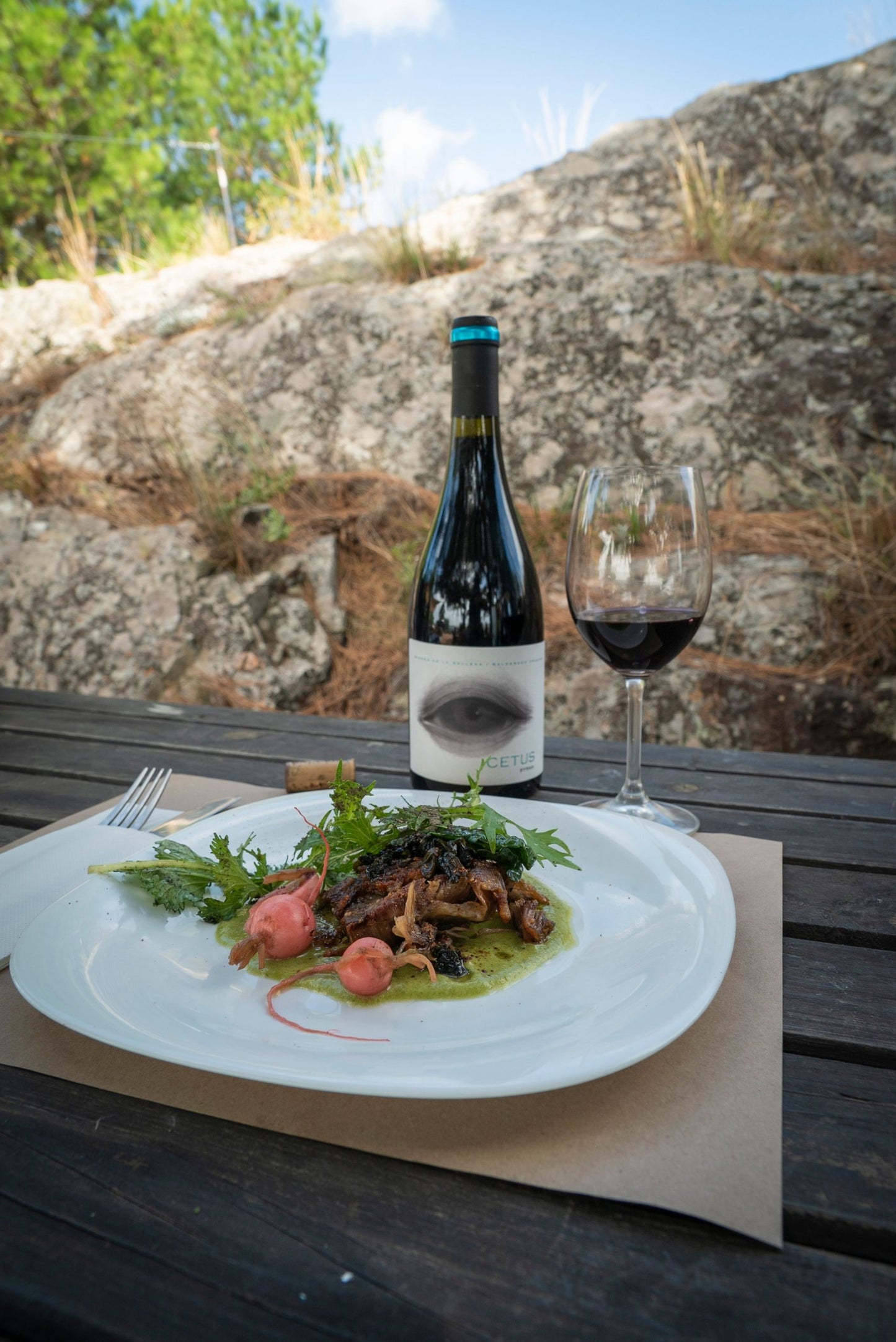 BIENESTAR ENTRE LAS SIERRAS DE LA BALLENA: BODEGA ALTOS DE LA BALLENA