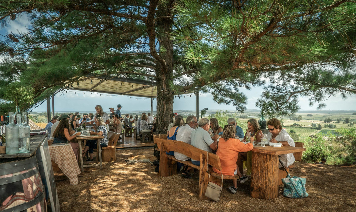 BIENESTAR ENTRE LAS SIERRAS DE LA BALLENA: BODEGA ALTOS DE LA BALLENA
