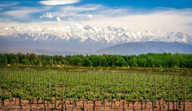 MENDOZA - RELAX Y VINO - 5 NOCHES - SETIEMBRE
