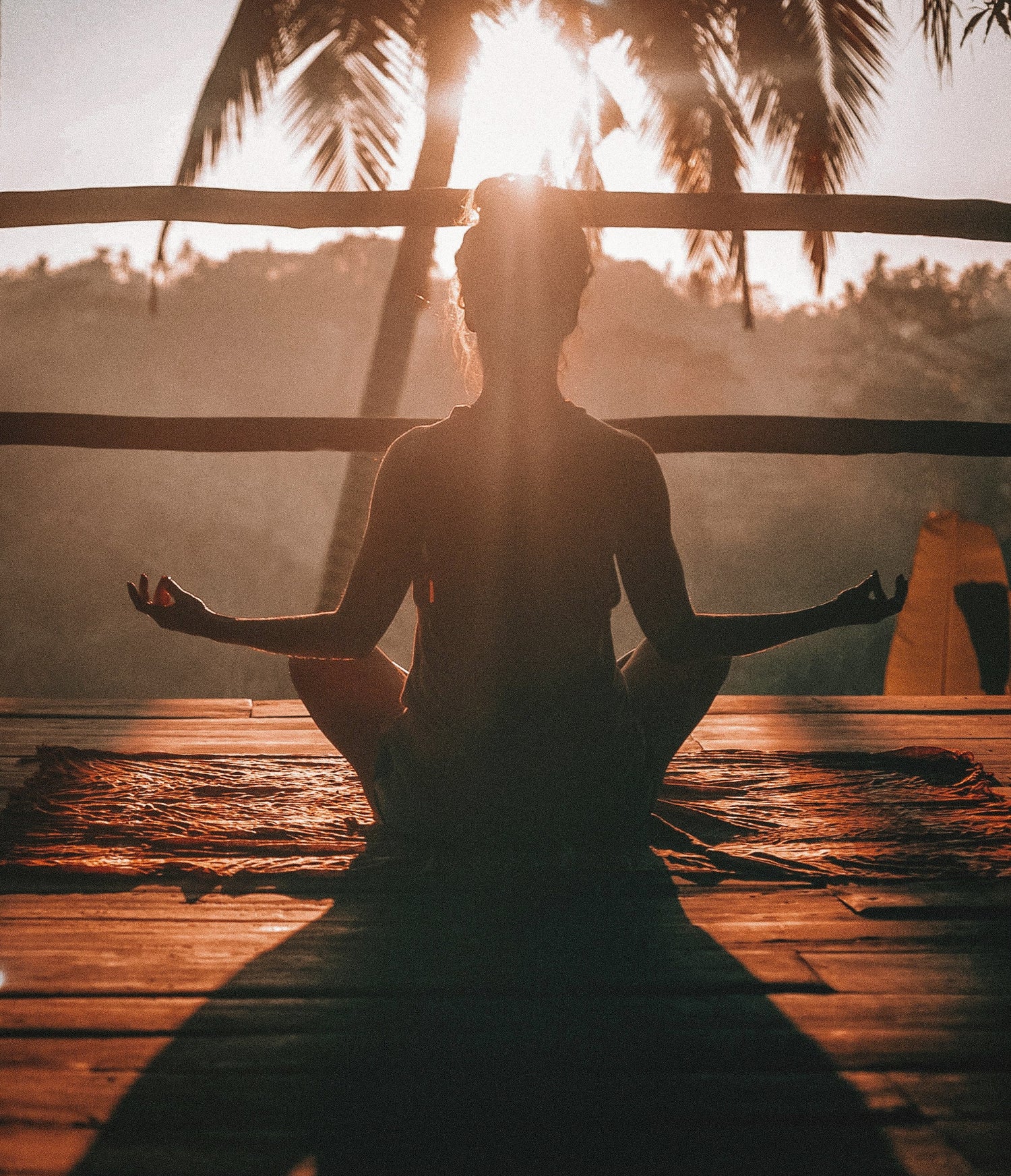 Wellness Tour