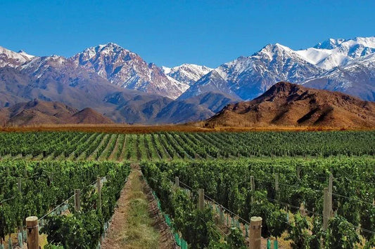 MENDOZA -  RELAX Y VINO - 5 NOCHES - SETIEMBRE