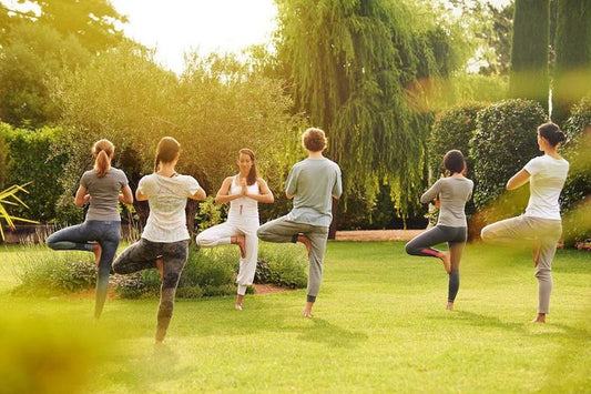 RELAX ENTRE VIÑAS: BODEGA ALTOS DE LA BALLENA