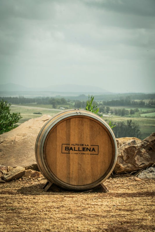 BIENESTAR ENTRE LAS SIERRAS DE LA BALLENA: BODEGA ALTOS DE LA BALLENA