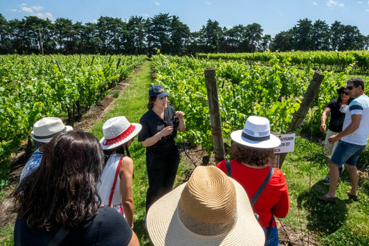 RELAX ENTRE VIÑAS: Edición BODEGA CASA GRANDE
